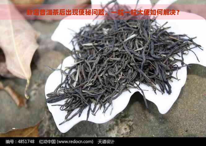 新喝普洱茶后出现便秘问题，一粒一粒大便如何解决？