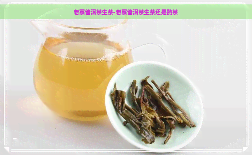 老寨普洱茶生茶-老寨普洱茶生茶还是熟茶