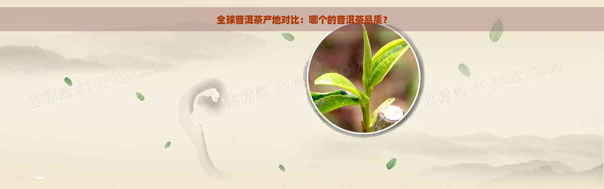 全球普洱茶产地对比：哪个的普洱茶品质？