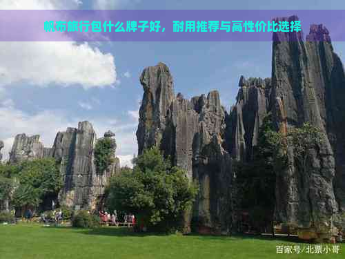 帆布旅行包什么牌子好，耐用推荐与高性价比选择