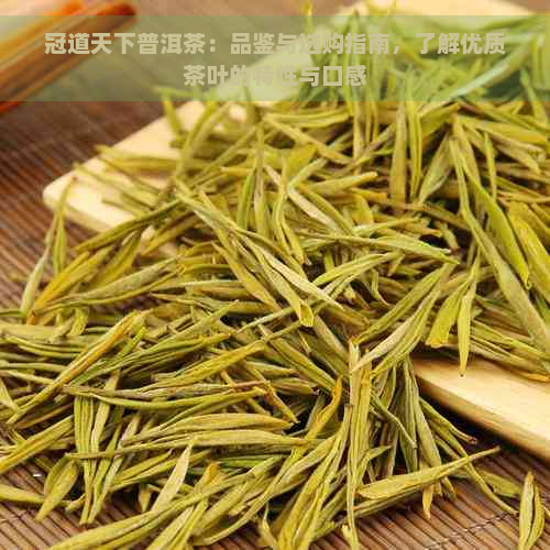 冠道天下普洱茶：品鉴与选购指南，了解优质茶叶的特性与口感