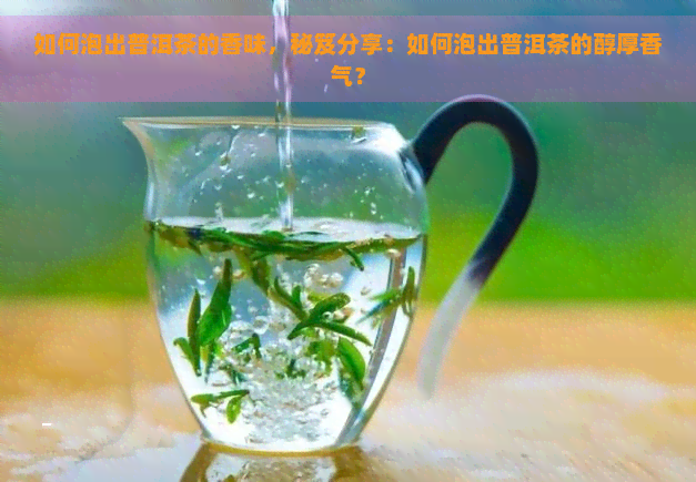 如何泡出普洱茶的香味，秘笈分享：如何泡出普洱茶的醇厚香气？