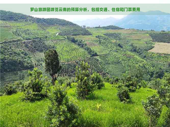 罗山旅游团游览云南的预算分析，包括交通、住宿和门票费用