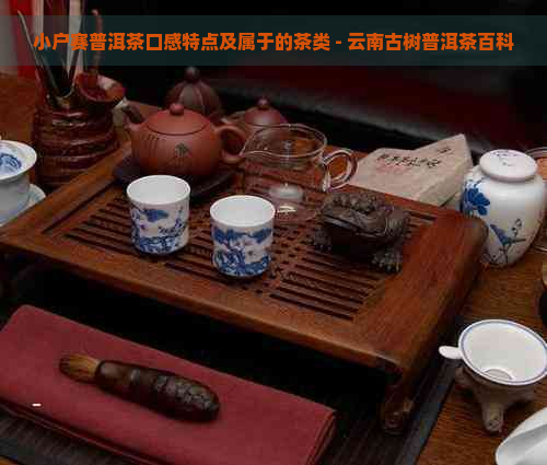 小户赛普洱茶口感特点及属于的茶类 - 云南古树普洱茶百科