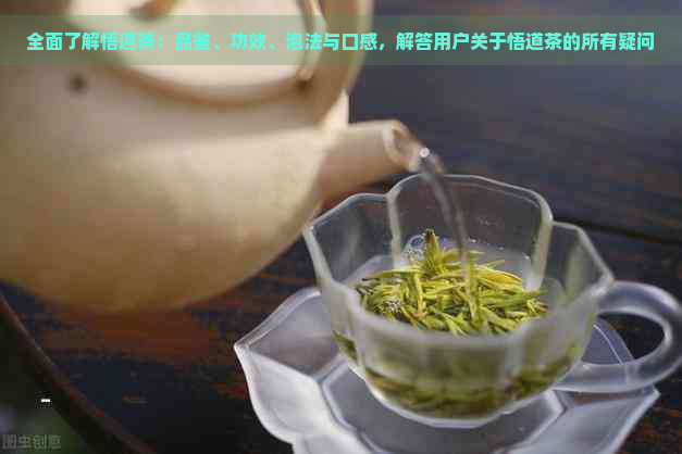 全面了解悟道茶：品鉴、功效、泡法与口感，解答用户关于悟道茶的所有疑问