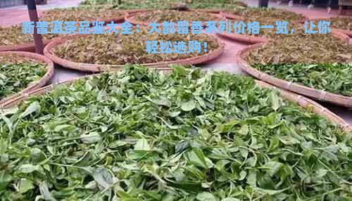 新普洱茶品鉴大全：大韵留香系列价格一览，让你轻松选购！