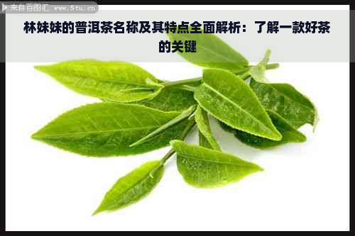 林妹妹的普洱茶名称及其特点全面解析：了解一款好茶的关键