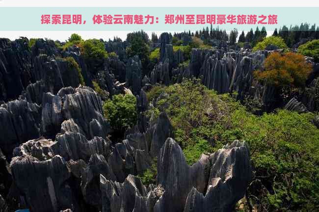 探索昆明，体验云南魅力：郑州至昆明豪华旅游之旅