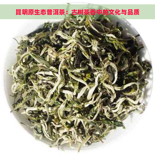 昆明原生态普洱茶：古树茶香中的文化与品质