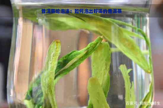 普洱茶坨泡法：如何泡出好喝的普洱茶