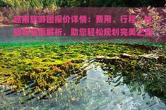 越南旅游团报价详情：费用、行程、住宿等全面解析，助您轻松规划完美之旅