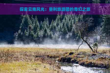 探索云南风光：垦利旅游团的奇幻之旅