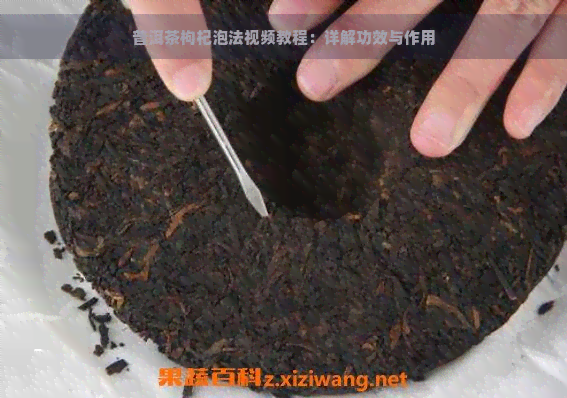 普洱茶枸杞泡法视频教程：详解功效与作用