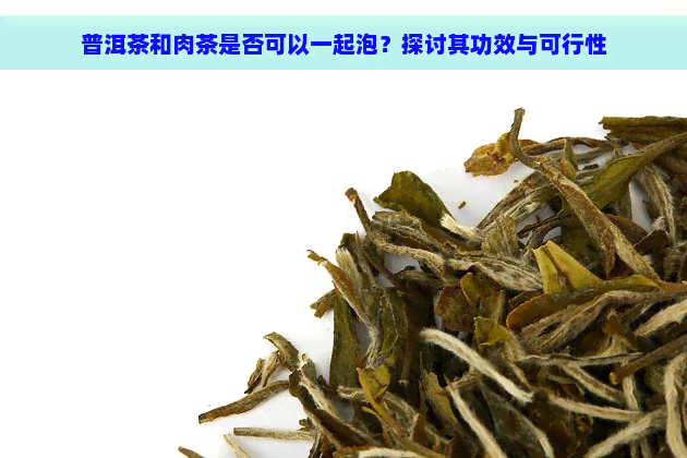 普洱茶和肉茶是否可以一起泡？探讨其功效与可行性