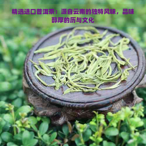 精选进口普洱茶：源自云南的独特风味，品味醇厚的历与文化