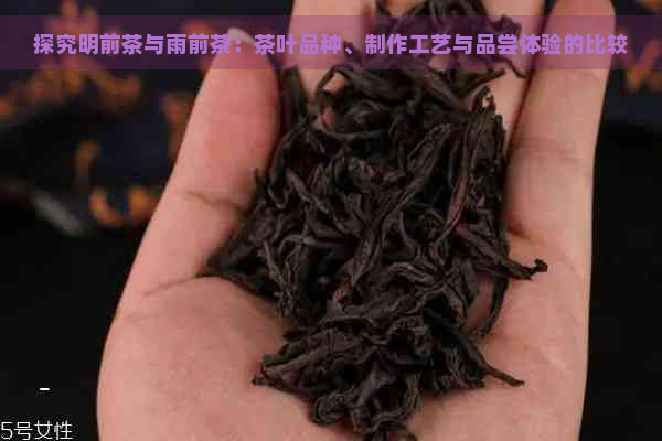 探究明前茶与雨前茶：茶叶品种、制作工艺与品尝体验的比较