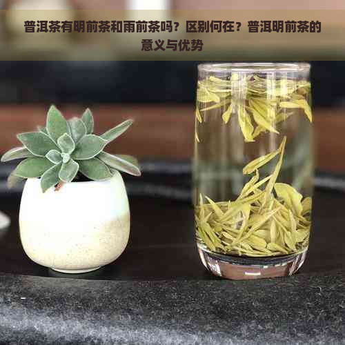 普洱茶有明前茶和雨前茶吗？区别何在？普洱明前茶的意义与优势