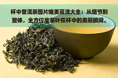 杯中普洱茶图片唯美高清大全：从细节到整体，全方位欣茶叶在杯中的美丽瞬间。