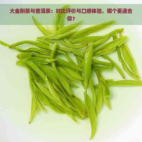 大金刚茶与普洱茶：对比评价与口感体验，哪个更适合你？