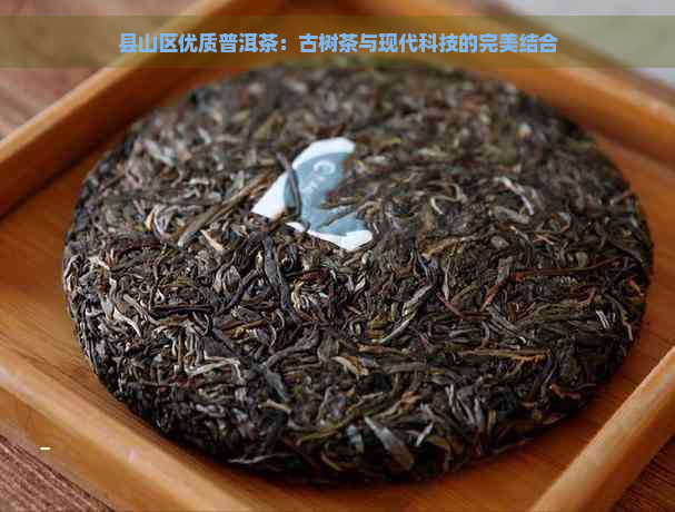 县山区优质普洱茶：古树茶与现代科技的完美结合