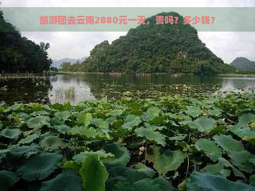 旅游团去云南2880元一天，贵吗？多少钱？