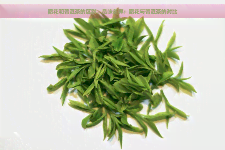 腊花和普洱茶的区别，品味差异：腊花与普洱茶的对比