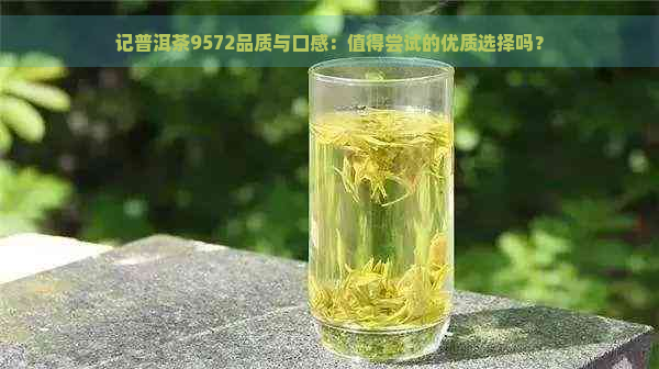 记普洱茶9572品质与口感：值得尝试的优质选择吗？