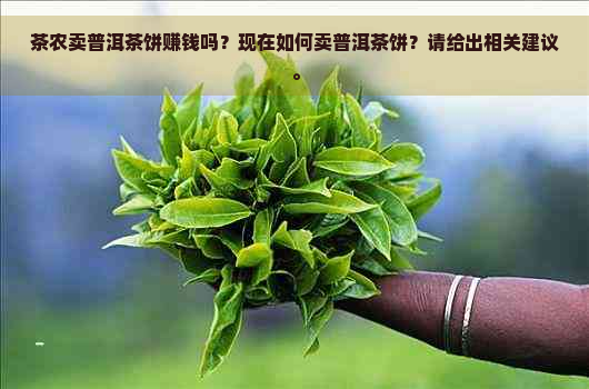 茶农卖普洱茶饼赚钱吗？现在如何卖普洱茶饼？请给出相关建议。