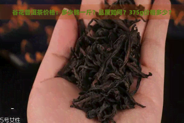 谷花普洱茶价格：多少钱一斤？品质如何？375g价格多少？