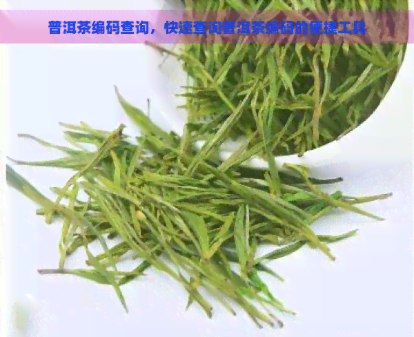 普洱茶编码查询，快速查询普洱茶编码的便捷工具