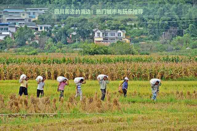 四川周边的海边：热门城市与玩乐推荐