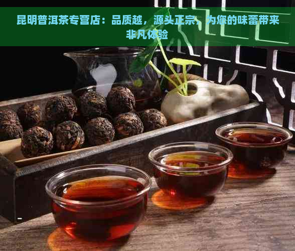 昆明普洱茶专营店：品质越，源头正宗，为您的味蕾带来非凡体验