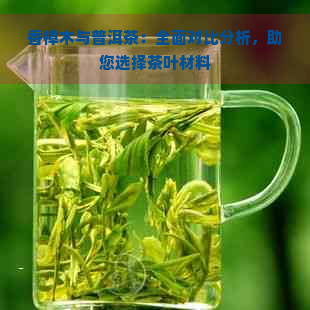 香樟木与普洱茶：全面对比分析，助您选择茶叶材料