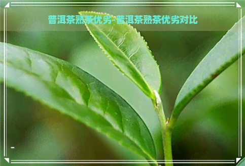 普洱茶熟茶优劣-普洱茶熟茶优劣对比