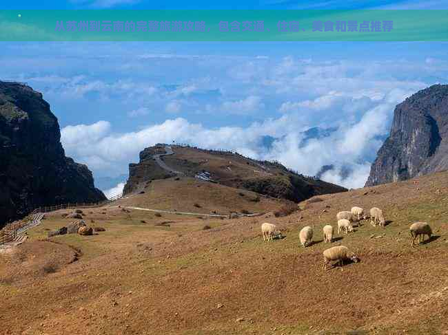 从苏州到云南的完整旅游攻略，包含交通、住宿、美食和景点推荐