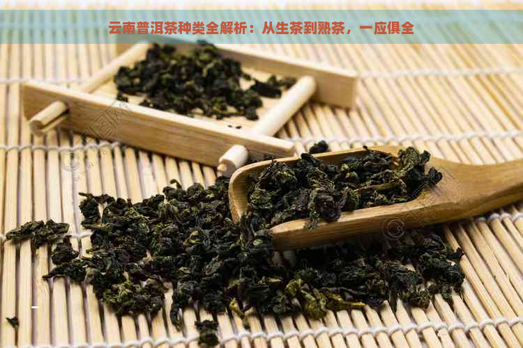 云南普洱茶种类全解析：从生茶到熟茶，一应俱全