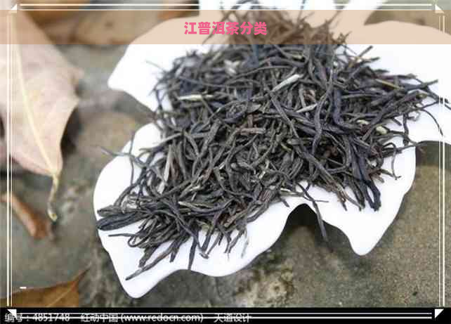 江普洱茶分类