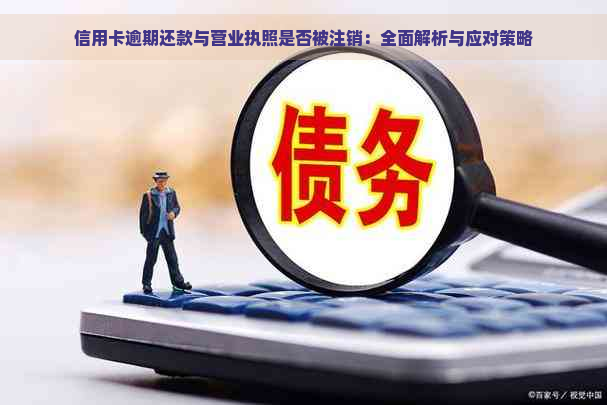 信用卡逾期还款与营业执照是否被注销：全面解析与应对策略