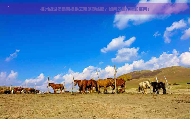 郴州旅游团是否提供云南旅游线路？如何安排行程和费用？