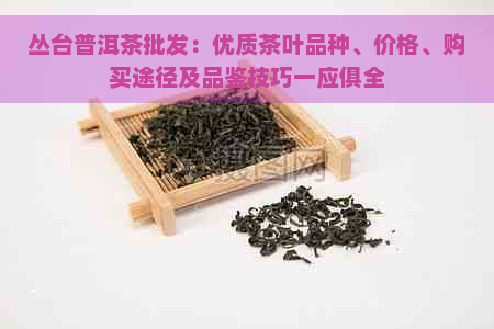 丛台普洱茶批发：优质茶叶品种、价格、购买途径及品鉴技巧一应俱全