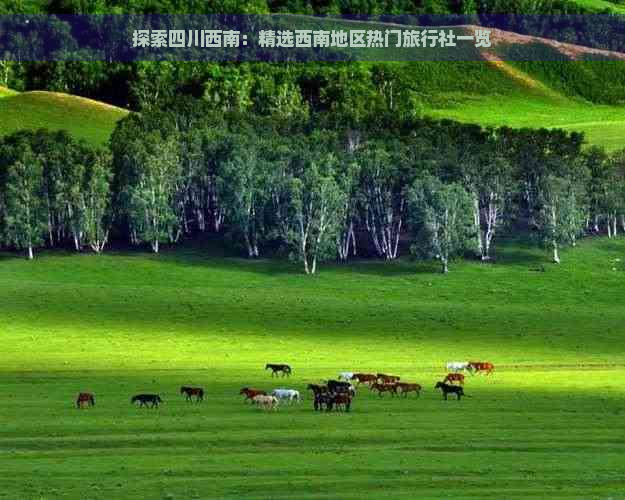 探索四川西南：精选西南地区热门旅行社一览