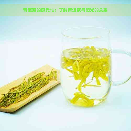 普洱茶的感光性：了解普洱茶与阳光的关系