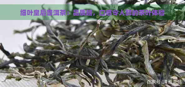 细叶皇后普洱茶：品质越，口感令人醉的茶叶体验