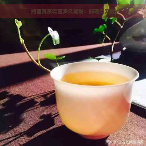 熟普洱茶霉菌多久能喝：解惑与判断