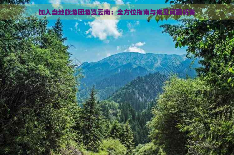 加入当地旅游团游览云南：全方位指南与常见问题解答