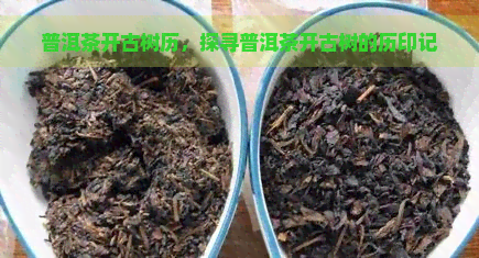 普洱茶开古树历，探寻普洱茶开古树的历印记