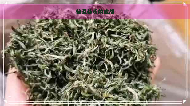 普洱茶版的成都