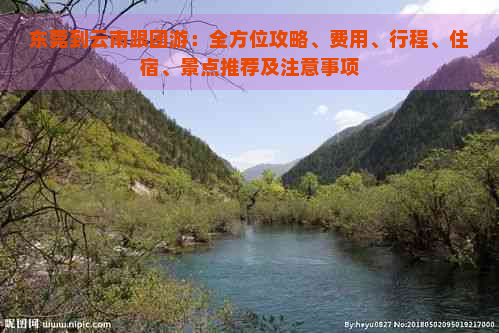 东莞到云南跟团游：全方位攻略、费用、行程、住宿、景点推荐及注意事项