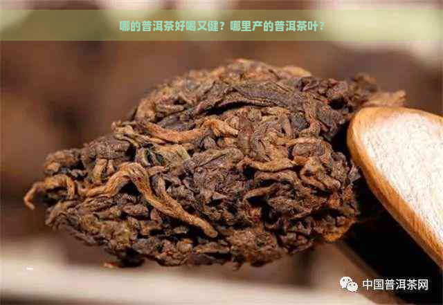 哪的普洱茶好喝又健？哪里产的普洱茶叶？