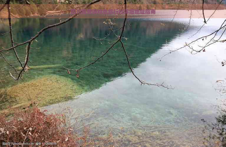 四川鸳鸯锅特色旅行社详细地址指南